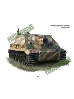 Sturmtiger: The Combat History of Sturmmorser Kompanies 1000-1002