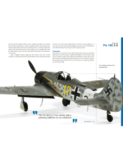 Wingspan Vol.4: 1/32 Aircraft Modelling, Canfora