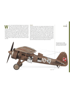 Wingspan Vol.4: 1/32 Aircraft Modelling, Canfora