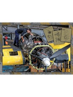 355 Squadron: 75 years, Eagle Aviation