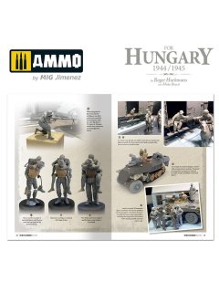 The Battle for Hungary 1944/1945, AMMO