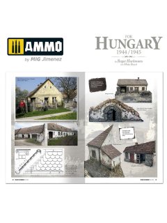 The Battle for Hungary 1944/1945, AMMO