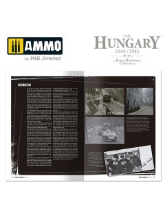 The Battle for Hungary 1944/1945, AMMO