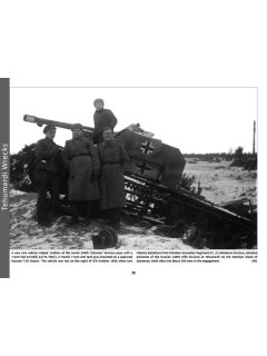 Panzerwrecks 14