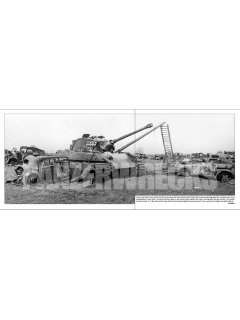 Panzerwrecks 14
