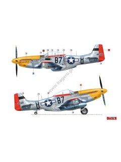 P-51 D/K Mustang Part 1, Kagero Decals 48004