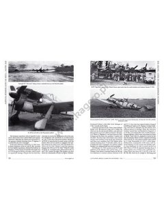 Luftwaffe versus USAAF 8th Air Force Vol. I, Air Battles No 19, Kagero