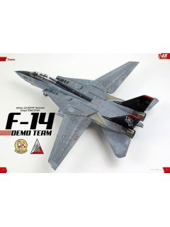 Grumman F-14 Tomcat, Kit Build 1, Kagero