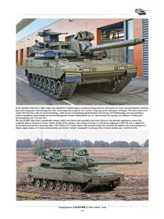Leopard 2 in German Army Service, Tankograd