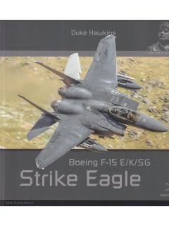 Strike Eagle, Duke Hawkins 026