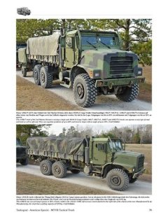 MTVR Tactical Truck of the US Marines, Tankograd