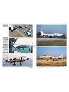Harrier, Kagero