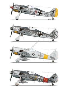 Fw 190s over Europe Part I, miniTopcolors no 35, Kagero 
