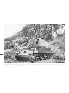 40M Nimrod tank destroyer, Peko