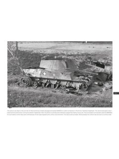 40M Nimrod tank destroyer, Peko