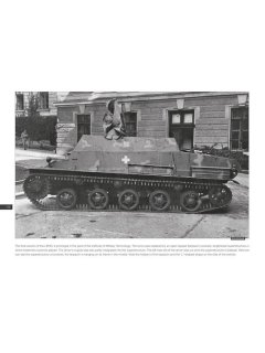 40M Nimrod tank destroyer, Peko