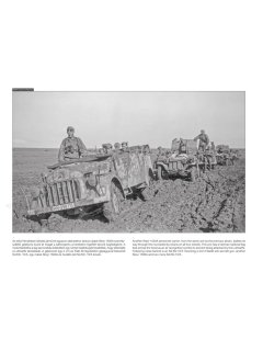 German Support Vehicles on the Battlefield, Peko