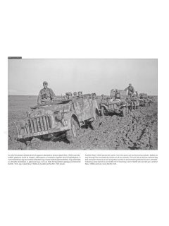 German Support Vehicles on the Battlefield, Peko