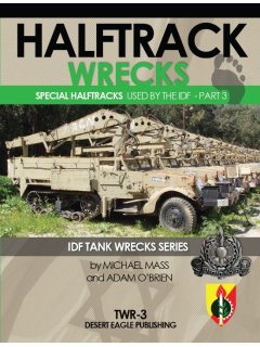 Halftrack Wrecks, Desert Eagle