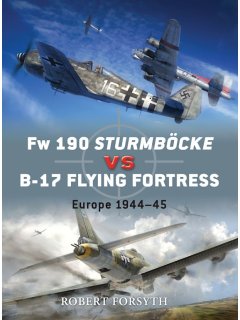 Fw 190 Sturmbocke vs B-17 Flying Fortress, Duel 24, Osprey