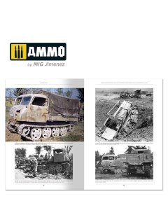 Italienfeldzug - German Tanks and Vehicles 1943-1945 Vol. 4, AMMO