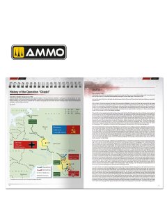 The Battle of KURSK, AMMO