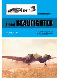 Beaufighter, Warpaint 1