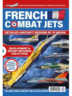 French Combat Jets