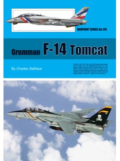 Grumman F-14 Tomcat, Warpaint 126
