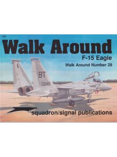 F-15 Eagle Walk Around