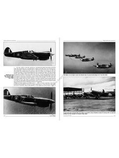 Curtiss P-40 Vol. I, Monographs No 36, Kagero