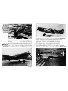 Curtiss P-40 Vol. I, Monographs No 36, Kagero