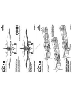 Curtiss P-40 Vol. I, Monographs No 36, Kagero