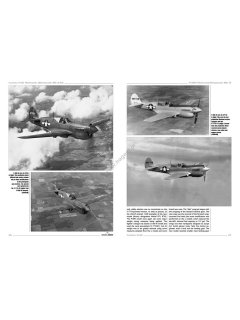 Curtiss P-40 Vol. III, Monographs No 43, Kagero