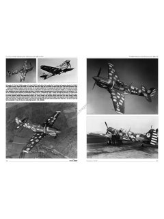 Curtiss P-40 Vol. III, Monographs No 43, Kagero