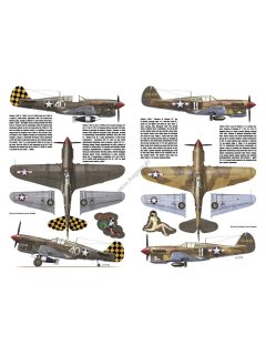 Curtiss P-40 Vol. III, Monographs No 43, Kagero