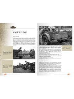 Vehicles of the Polish 1st Armoured Division, AK Interactive