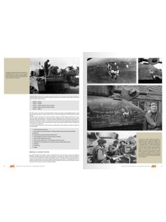 Vehicles of the Polish 1st Armoured Division, AK Interactive