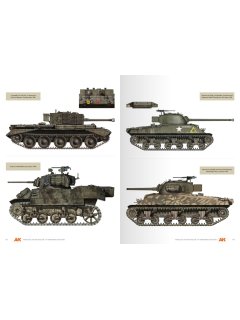 Vehicles of the Polish 1st Armoured Division, AK Interactive