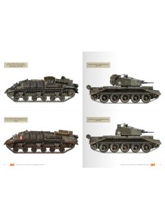 Vehicles of the Polish 1st Armoured Division, AK Interactive