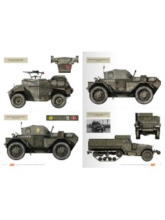 Vehicles of the Polish 1st Armoured Division, AK Interactive
