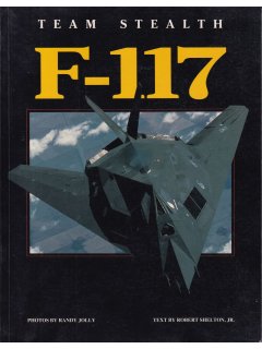 Team Stealth F-117