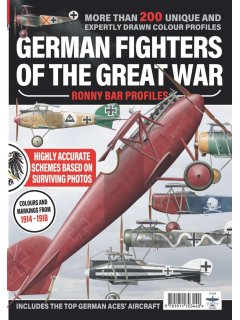 German Fighters of the Great War