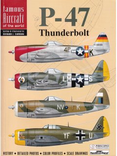 P-47 Thunderbolt