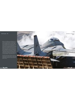 Duke Hawkins 037: F-14 Tomcat