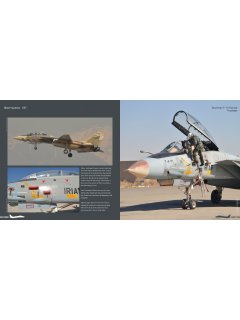 Duke Hawkins 037: F-14 Tomcat