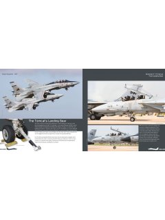 Duke Hawkins 037: F-14 Tomcat