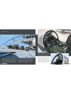 Duke Hawkins 037: F-14 Tomcat