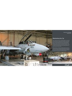 Duke Hawkins 037: F-14 Tomcat