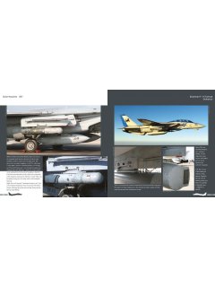 Duke Hawkins 037: F-14 Tomcat